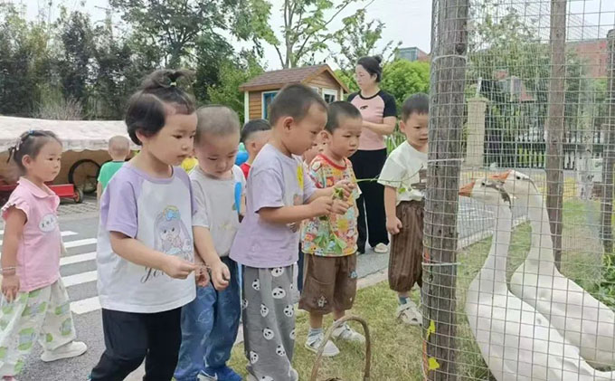 江苏泰州市出台省内首部托育服务条例